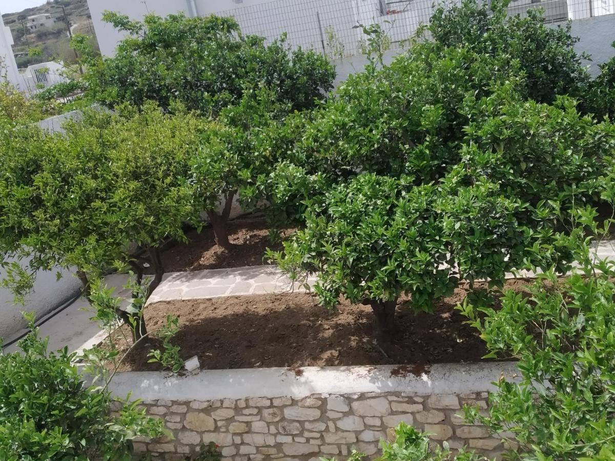 מלון פארוס Aegeon Garden מראה חיצוני תמונה